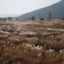 합천창녕보자전거민박 이미지