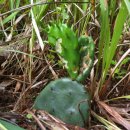 이기영농장 이미지