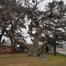 구평보건진료소 이미지