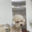 (주)쿨펫 이미지