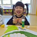 배꽃어린이집 | 👉주간일기｜4월 둘째주 기록, 유기농가옥 수선화,벚꽃, 배꽃 꽃구경으로 바빴던 한주