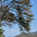 월하담 2 이미지