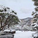 1월24일(토) 북한강 리버뷰 라온드뷰 카페가요.저녁은 연잎밥 정식으로 하고요. 이미지