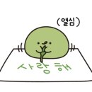 모카롯데월드몰점