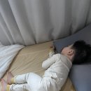 홍구농장 이미지