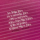 오빠돼지 Daum카페