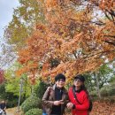 송정제방길 이미지