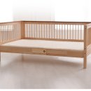 상판소나무숲 이미지