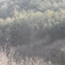 김삿갓면-30 이미지