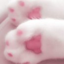 산본스 이미지