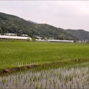 상진농장 이미지