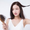자연히 이미지