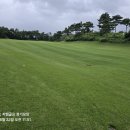 코스카cc 이미지