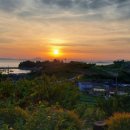 오차드 123 이미지