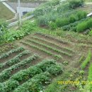 가덕농장 이미지