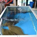 거북선횟집 이미지