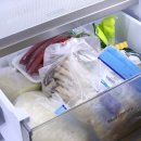 데비마이어 그린백 신선보관 시금치 나물무침까지 가능 멀티 그린박스