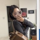 디옵튼 | 디옵튼 툴리백 카멜 솔직 후기 휘뚜루마뚜루 데일리 가방