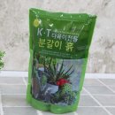 흙 - 보령시 | 흙