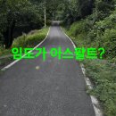 백두대간 버섯 답사산행.106 (싸리버섯과 산밤) 이미지