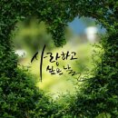 다산농장 2 네이버블로그
