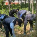 초롱꽃공원 이미지