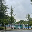 연구단지운동장(건너편) 이미지