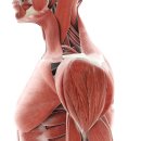 화원대찬정형외과의원 이미지