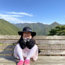 장선목장 네이버블로그