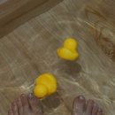 스테이모리 이미지