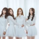 베리어스 - 시흥시 한우물로 52 | 베리어스
