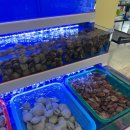 평택조개구이무한리필 이미지