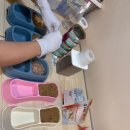 동물보육원 김포지부 이미지