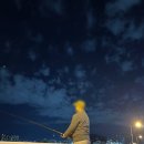 콜낚시 | 부산항대교 밑으로 낚시대 사서 급 낚시했던 후기