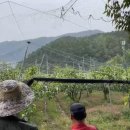 호준농장 이미지