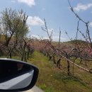 의성수지 이미지