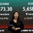 개미슈퍼 이미지