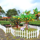 제주 유리의 성 이미지