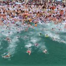 해운대 북극곰 축제 (Haeundae Polar Festival) 2019 이미지