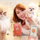 주식회사 스마트솔루션 이미지