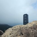 명품소나무길 이미지