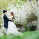 불암산 순환산책로 이미지