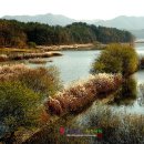 대청호반 이미지