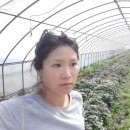 오덕농장 이미지