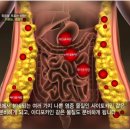 이지피트니스 이미지