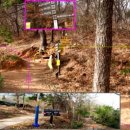 수선정사 이미지