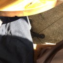 쉐가