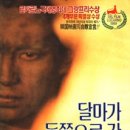 동쪽으로 이미지