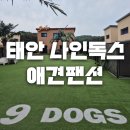 뽑기방 서부점 | 태안 애견펜션 추천 🐾나인독스 | 충남 강아지동반 펜션 바베큐 연박 솔직후기