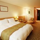 호텔비즈 이미지